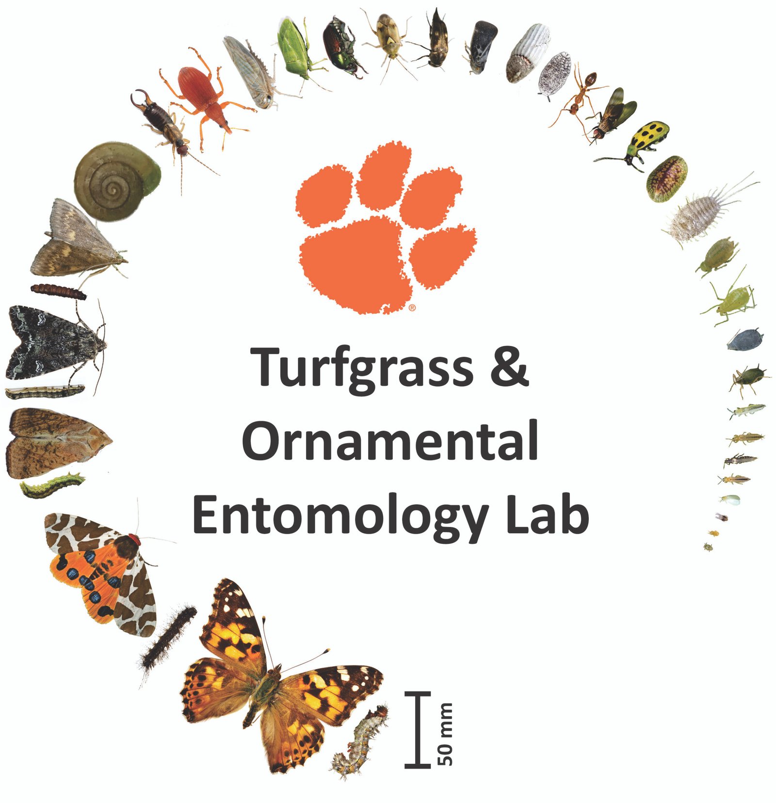 Clemson University Logo